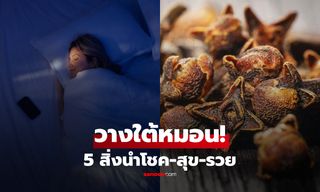 เผย 5 สิ่งของ ตามความเชื่อวาสตู "วางใต้หมอน" นอนรับทรัพย์-ปัดเป่าสิ่งไม่ดีข้ามคืน!