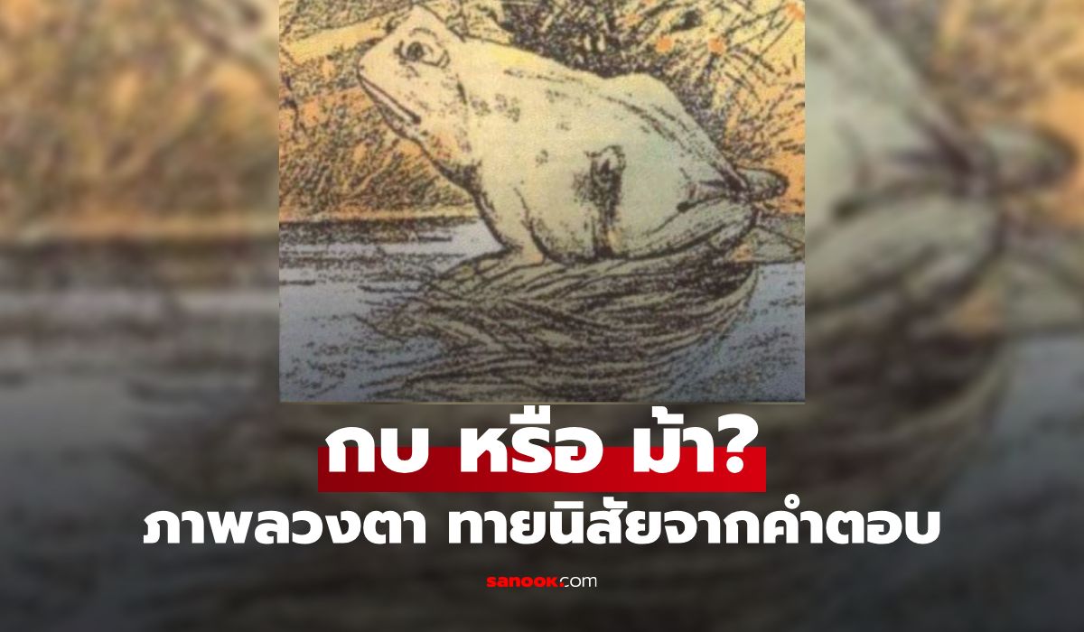 กบ หรือ ม้า เห็นอะไรก่อนกัน? แบบทดสอบภาพลวงตา บ่งบอกวิธีที่คุณใช้ "แก้ไขปัญหา"