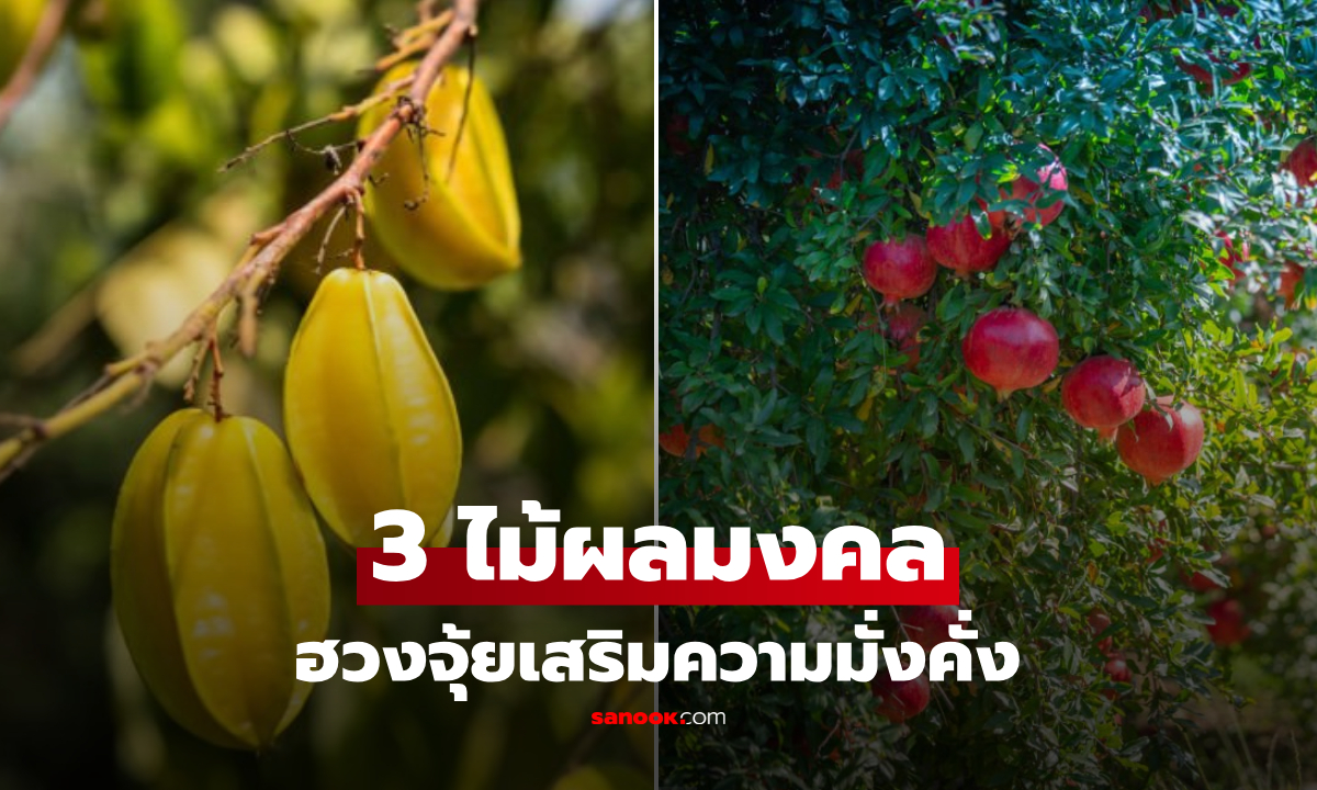 อยากให้บ้านอยู่แล้ว "ฟาดเคราะห์-รับโชค" โบราณนิยมปลูก 3 ต้นไม้มงคล ที่กินผลได้!