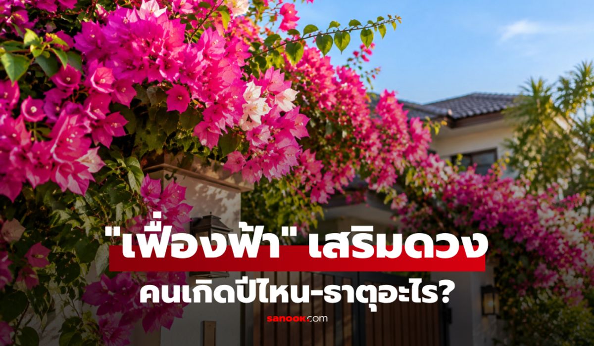 "เฟื่องฟ้า" เสริมดวงคนเกิดปีไหน-ธาตุอะไร? เชื่อถูกโฉลก-เสริมรุ่งเรือง ปลูกแล้วเรียกพลังดีเข้าบ้าน!