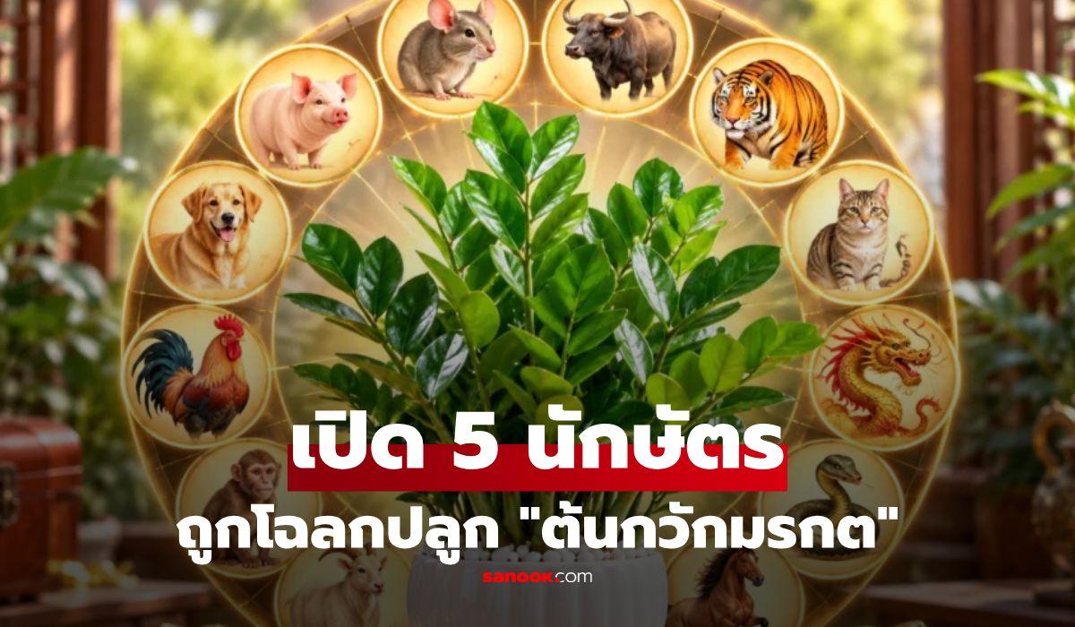 5 นักษัตร ถูกโฉลก “ต้นกวักมรกต” ปลูกเสริมโชคลาภ-เงินทอง จัดวางแบบนี้ยิ่งดี!