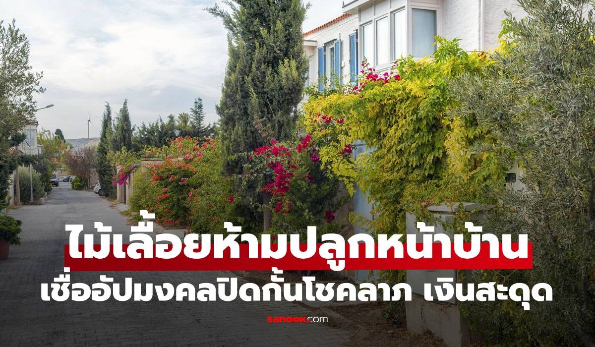 ไม้เลื้อยห้ามปลูกหน้าบ้าน เชื่ออัปมงคลบดบังโชคลาภทำเงินทองติดขัด