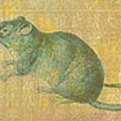 ทำนายทายทัก : ปีชง ปี 2551