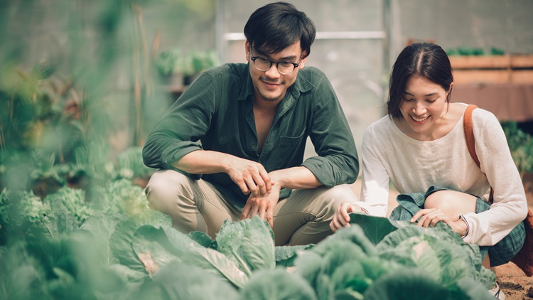 MV เหมือนในวันเก่า - Klear 