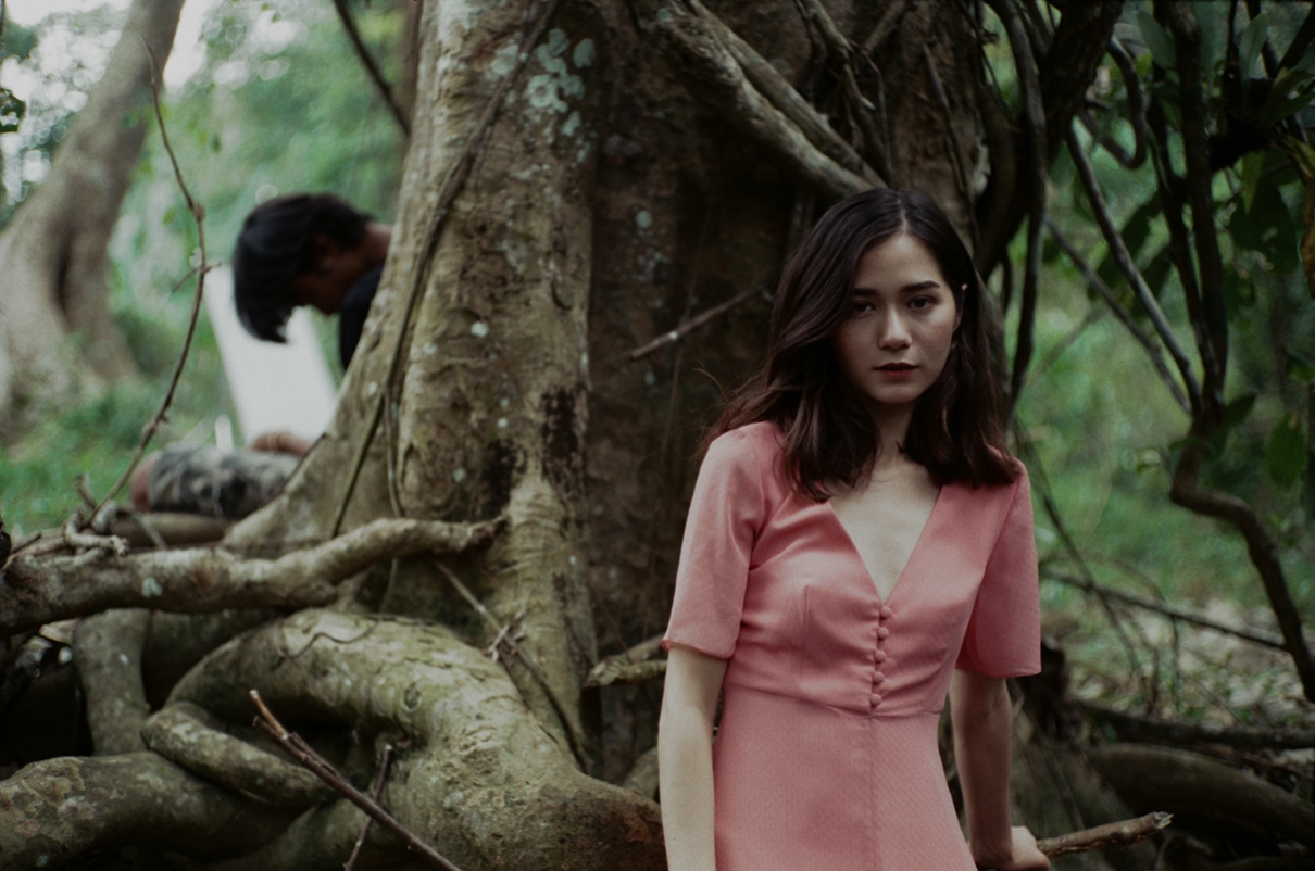 วี วิโอเลต