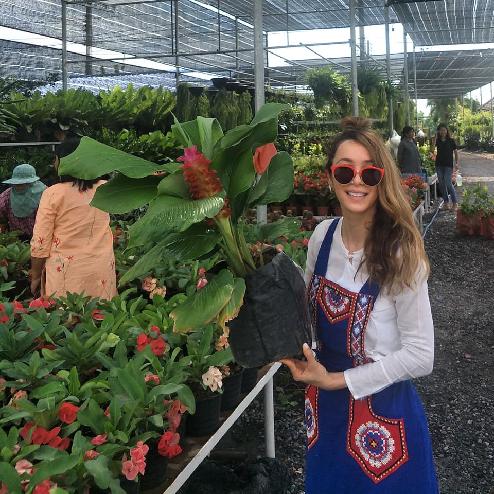 ปาล์มมี่ 