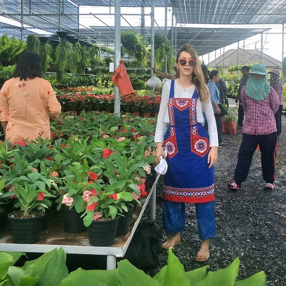 ปาล์มมี่ 