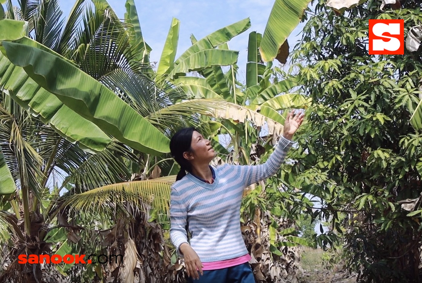 พิมพา พรศิริ