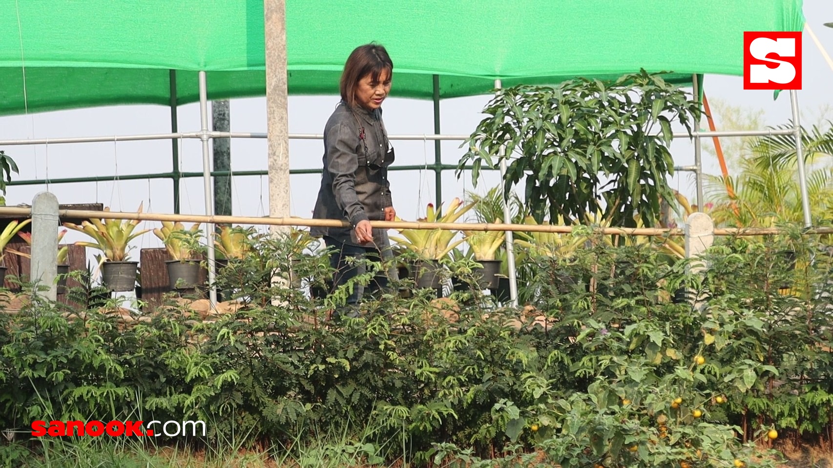 น้องนุช ดวงชีวัน