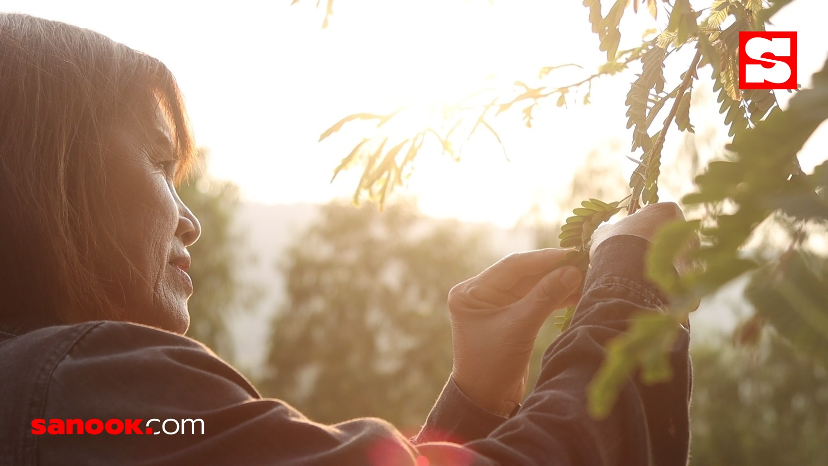 น้องนุช ดวงชีวัน