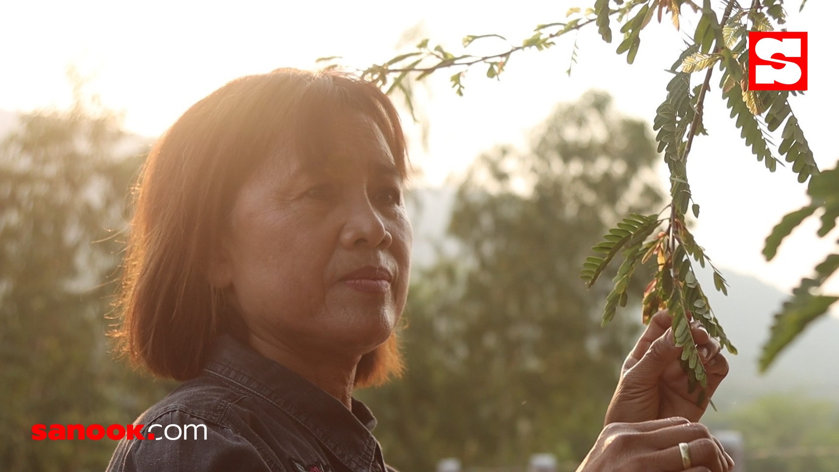 น้องนุช ดวงชีวัน