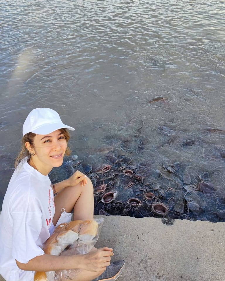 ปาล์มมี่ 