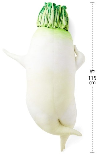 หมอนข้างหัวไชเท้า