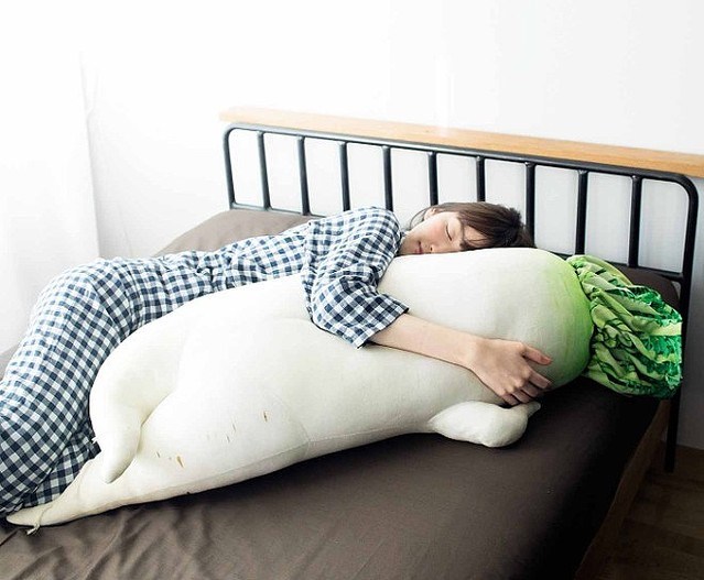 หมอนข้างหัวไชเท้า