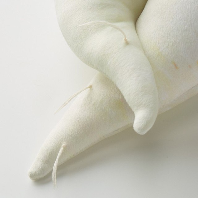 หมอนข้างหัวไชเท้า