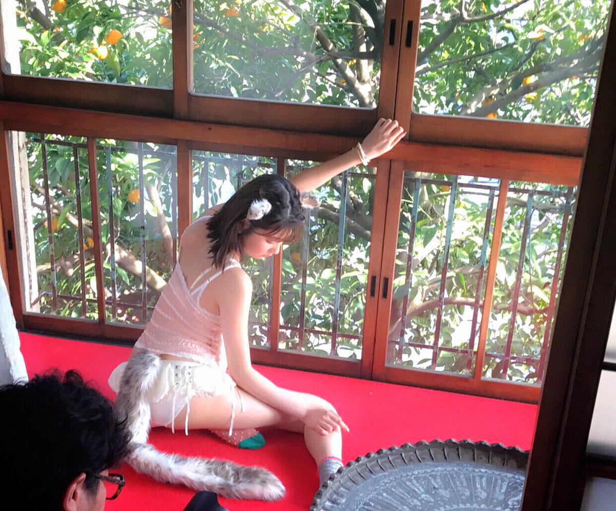 Gravure Idols are Cats