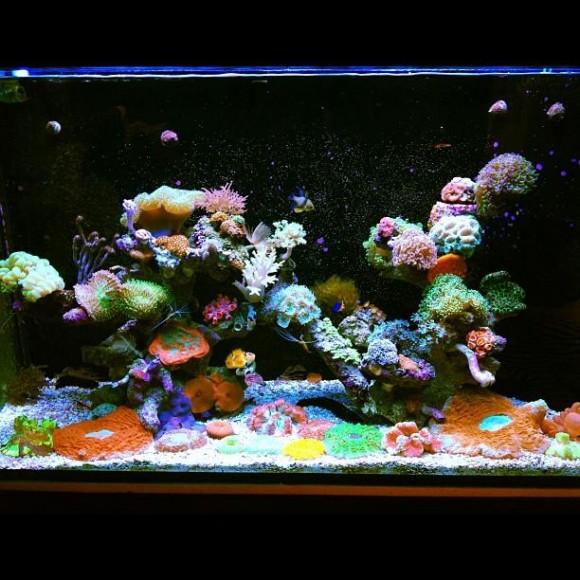 ก้อง กรุณ ซอโสตถิกุล 