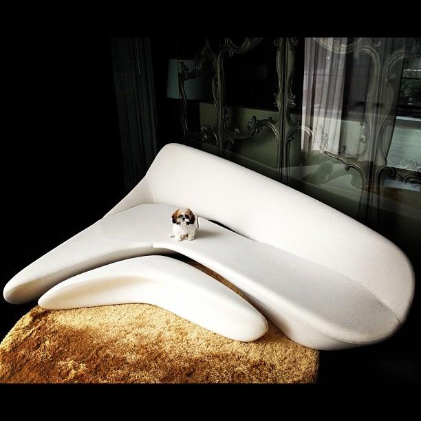 ก้อง กรุณ ซอโสตถิกุล 