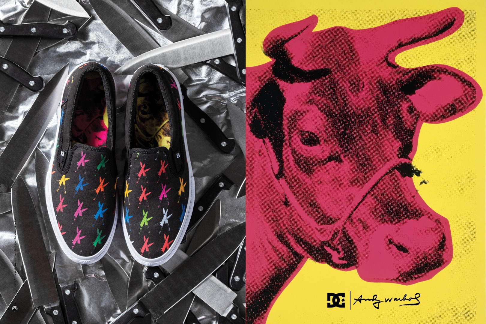 DC Shoes x Andy Warhol