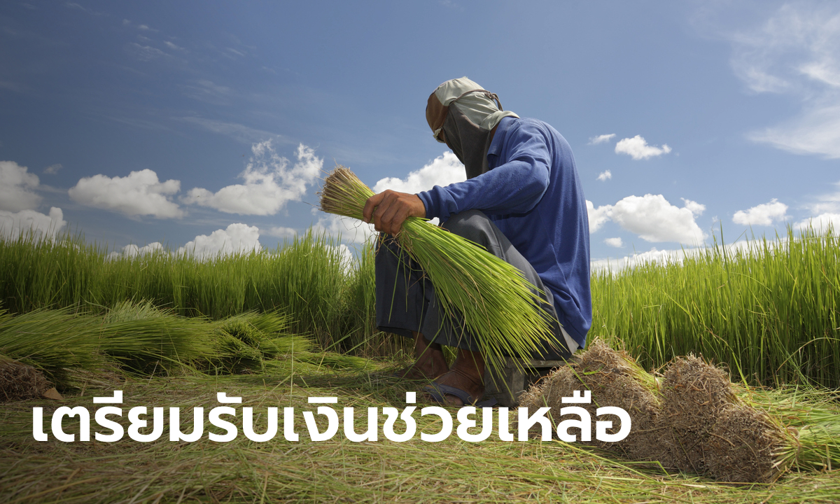 ธ.ก.ส. โอนเงินช่วยเหลือชาวนาภาคเหนือ-อีสาน ไร่ละ 1,000 บาท เริ่ม 14 ธ.ค. นี้