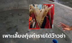 วิธีเพาะเลี้ยงกุ้งก้ามกรามในบ่อปูน สร้างรายได้สุดว๊าว 500,000 บาทต่อเดือน