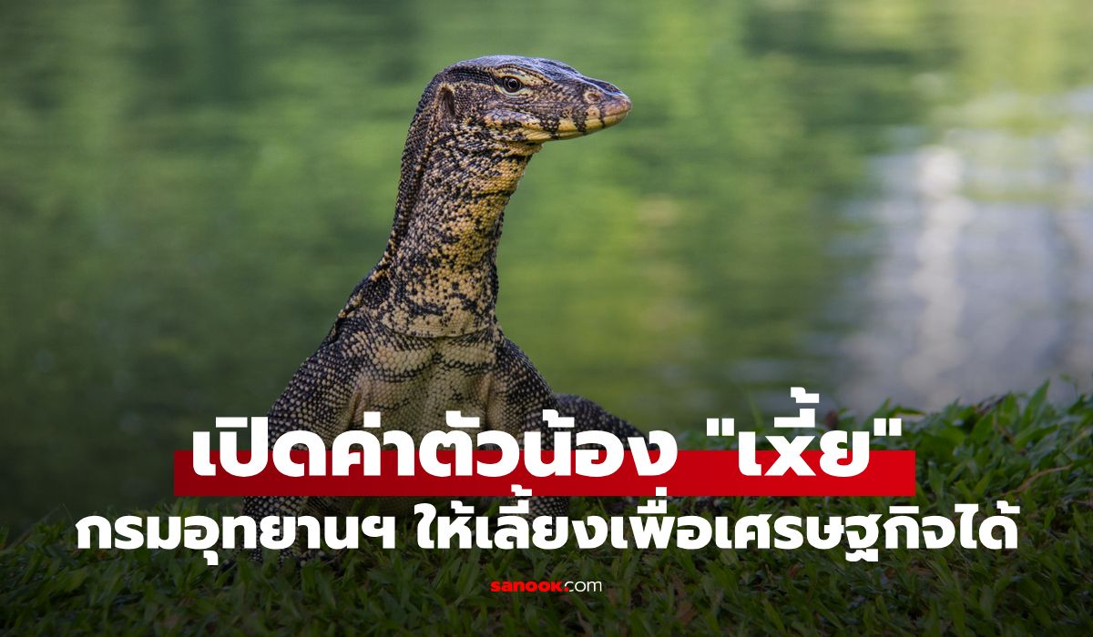 เปิดค่าตัวน้อง ตัวเงินตัวทอง สัตว์เศรษฐกิจใหม่ จะเลี้ยงได้ต้องได้รับอนุญาตก่อน