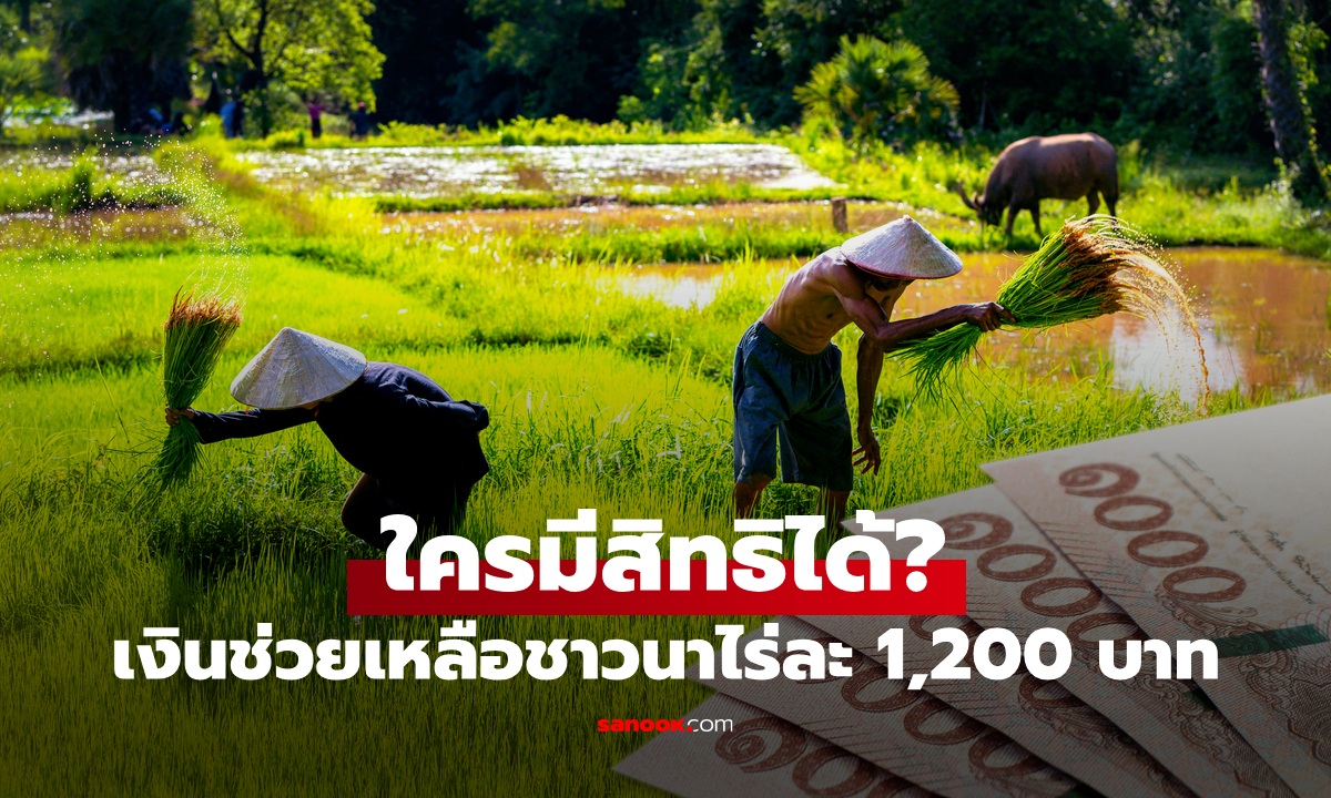 เงินช่วยเหลือชาวนาไร่ละ 1,200 บาท ใครมีสิทธิได้รับบ้าง?