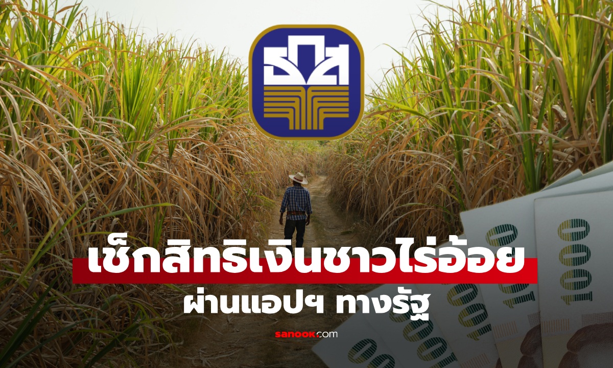 เช็กสิทธิรับเงินช่วยเหลือเกษตรกรปลูกอ้อย ผ่านแอปฯ ทางรัฐ