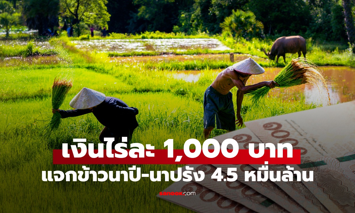 เงินช่วยเหลือชาวนาไร่ละ 1,000 บาท ครม. เคาะแจกเงินข้าวนาปี-นาปรัง