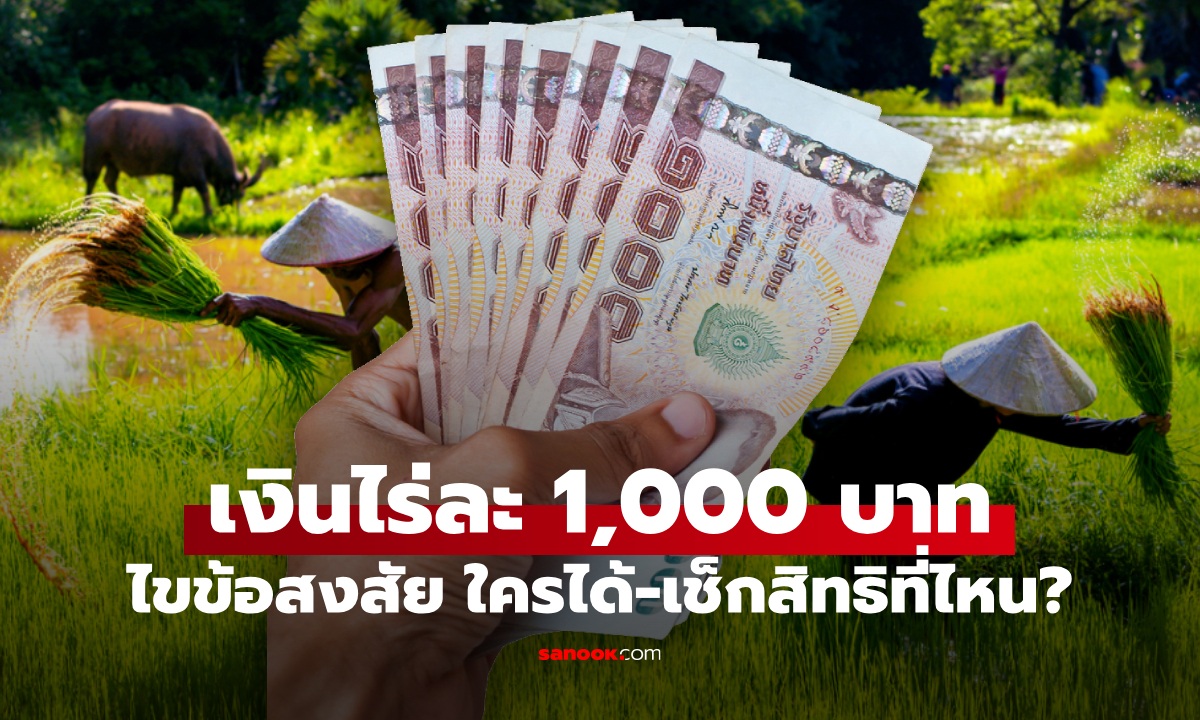 แจกเงินไร่ละ 1,000 บาท ปี 68/69 กรมส่งเสริมการเกษตร ตอบคำถามใครได้บ้าง