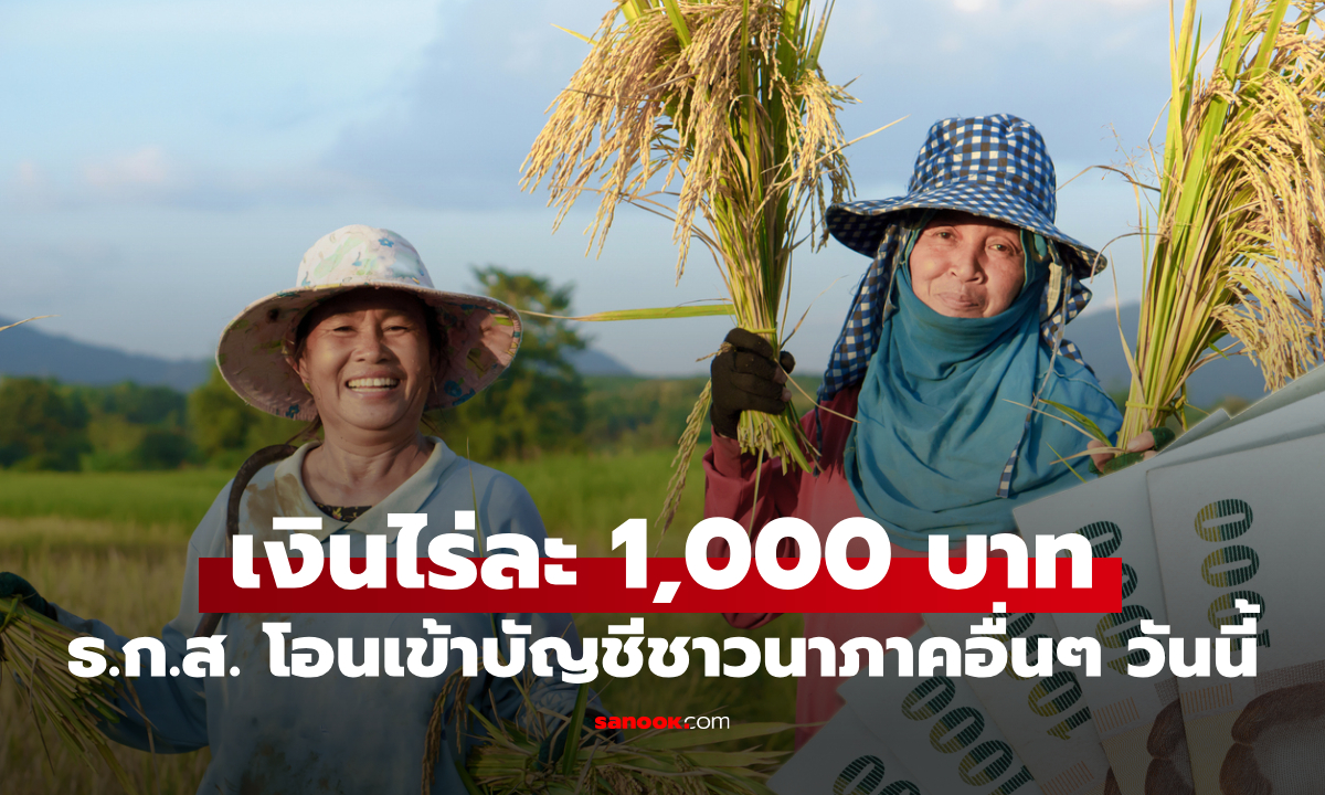 ล่าสุด เช็กสิทธิเงินชาวนา ไร่ละ 1,000 บาท โอนเข้าบัญชีแล้ววันนี้