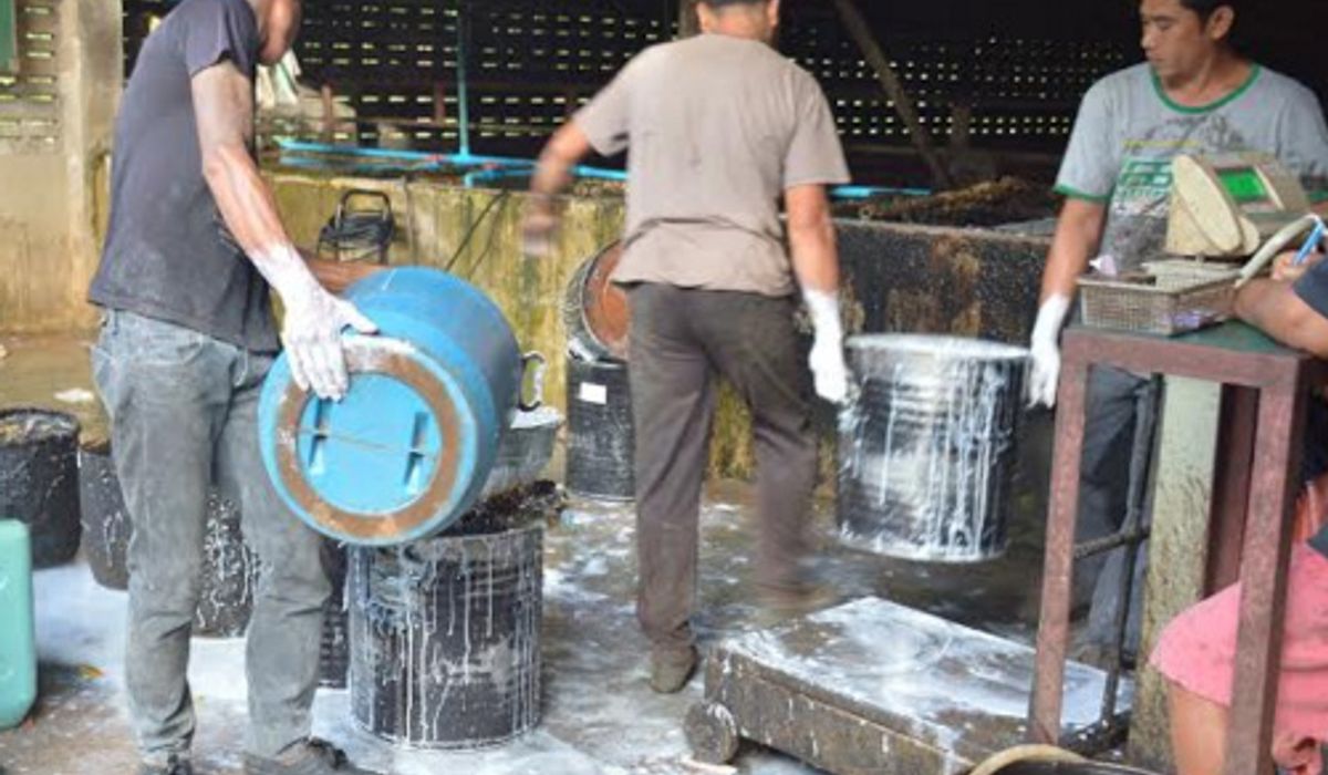 ตรังแห่ขายน้ำยางวันแรกบรรยากาศคึกคัก