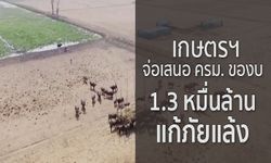 เกษตรฯ จ่อเสนอ ครม. ของบ 1.3 หมื่นล้าน แก้ภัยแล้ง