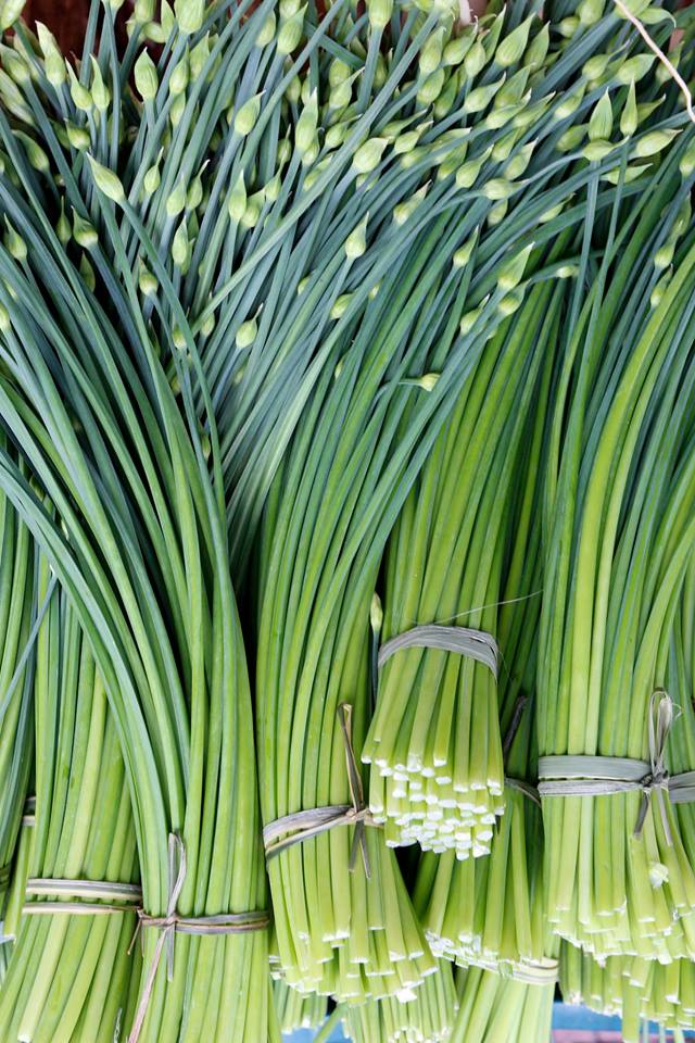 กุยช่าย