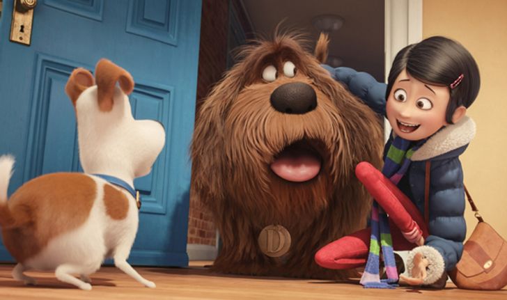 ดูแล้วบอกต่อ วิจารณ์หนัง THE SECRET LIFE OF PETS ใครๆก็อยากกลับบ้าน