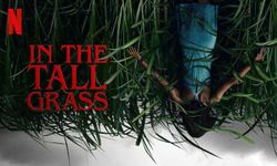 รีวิว In The Tall Grass เดินหลงในพงหญ้า