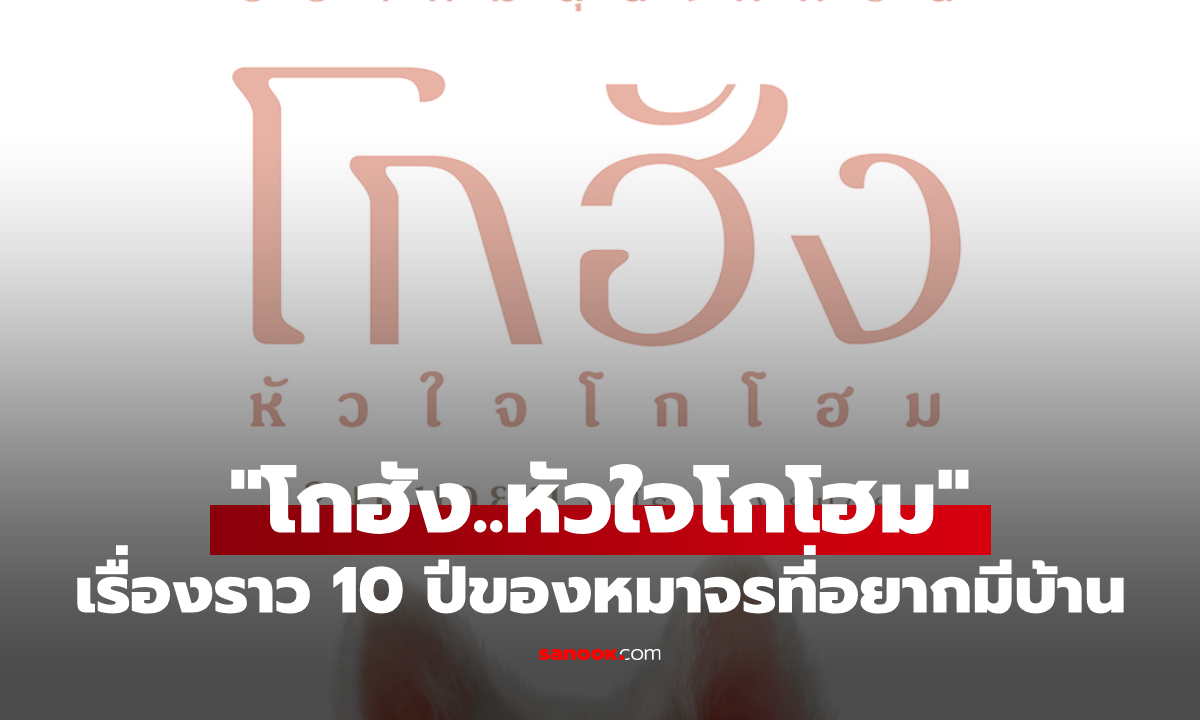 เตรียมเสียน้ำตา! "โกฮัง..หัวใจโกโฮม" หนังใหม่ GDH เรื่องราว 10 ปีของหมาจรที่อยากมีบ้าน