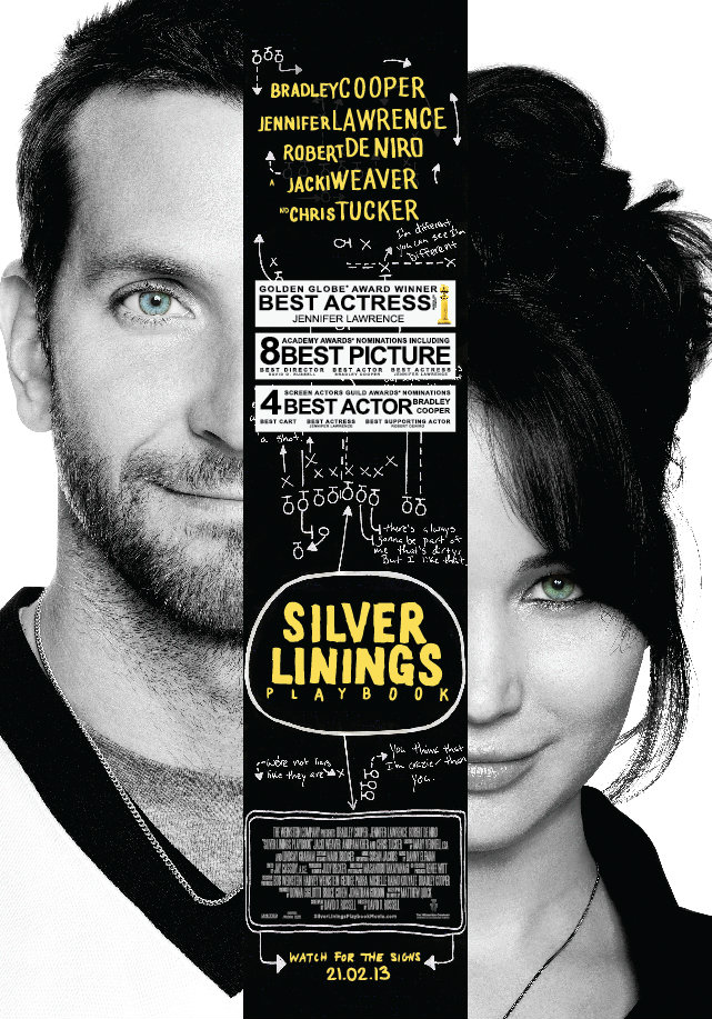 ดูsilver linings playbook