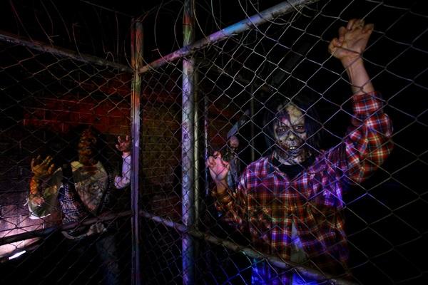 Ocean Park Halloween Fest 2015
