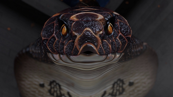 นาคิน ภาคใหม่