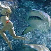หนัง Shark Night 3D