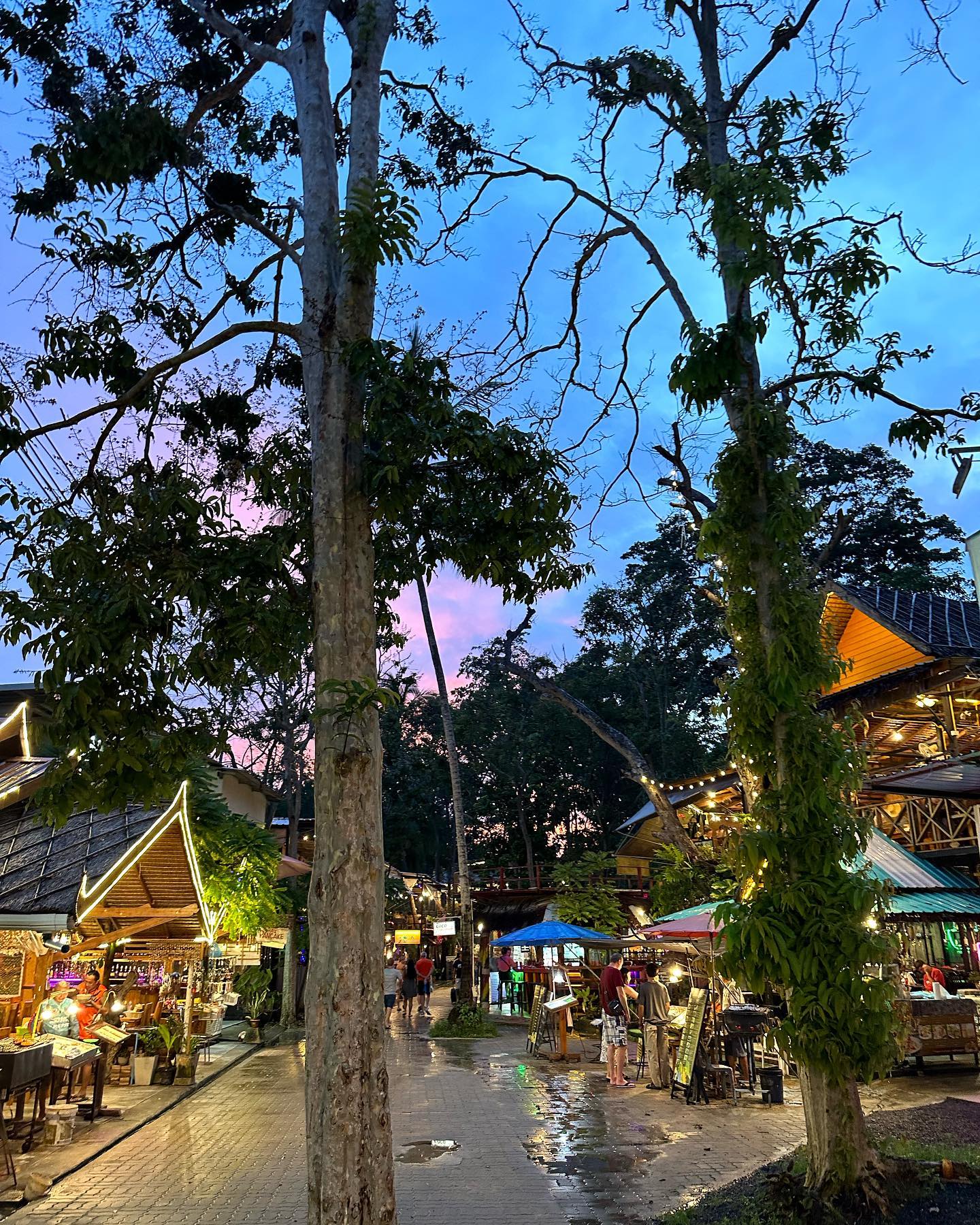 อิมฮยอนจู Im Hyun Joo