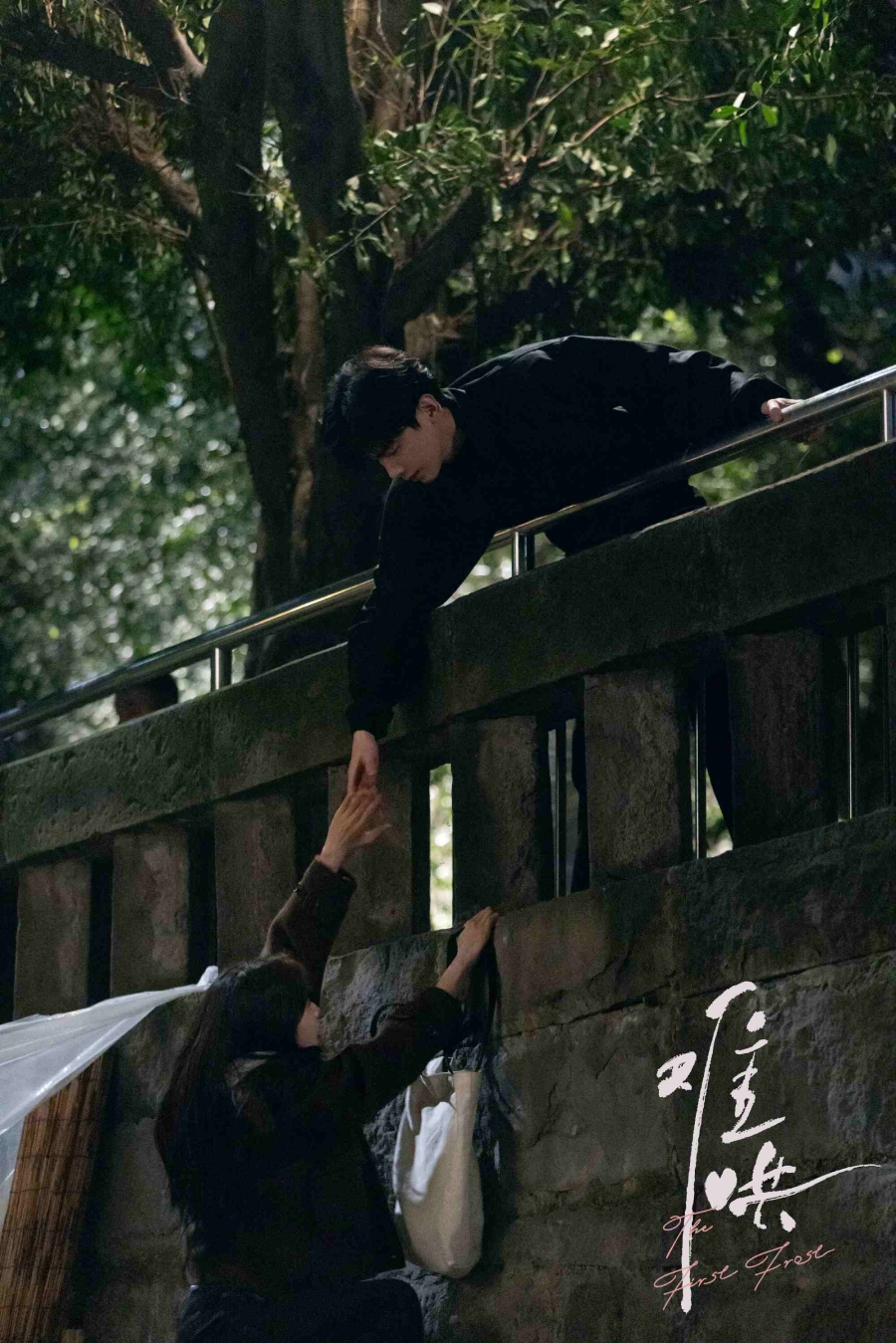 เรื่องย่อซีรีส์จีน วันนี้ วันไหน ยังไงก็เธอ  First Frost