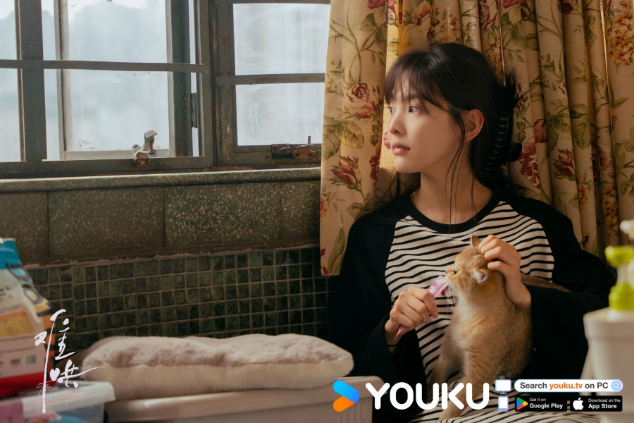 เรื่องย่อซีรีส์จีน วันนี้ วันไหน ยังไงก็เธอ  First Frost