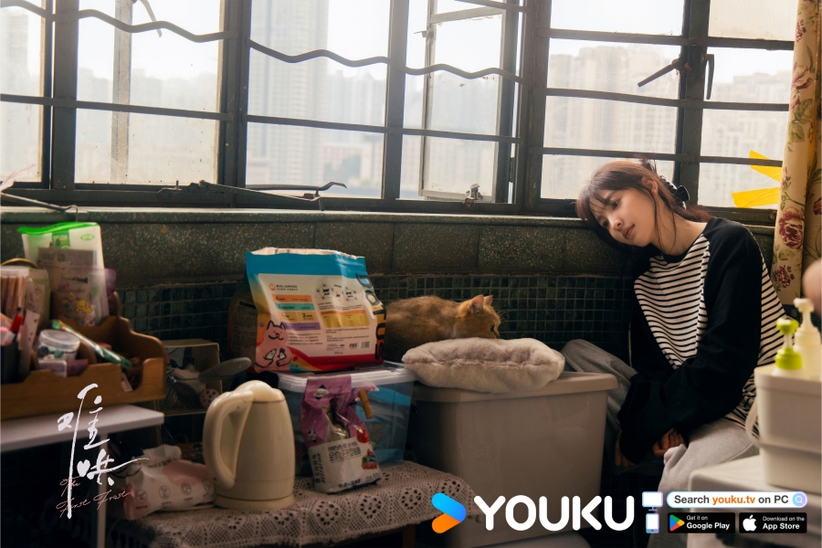 เรื่องย่อซีรีส์จีน วันนี้ วันไหน ยังไงก็เธอ  First Frost