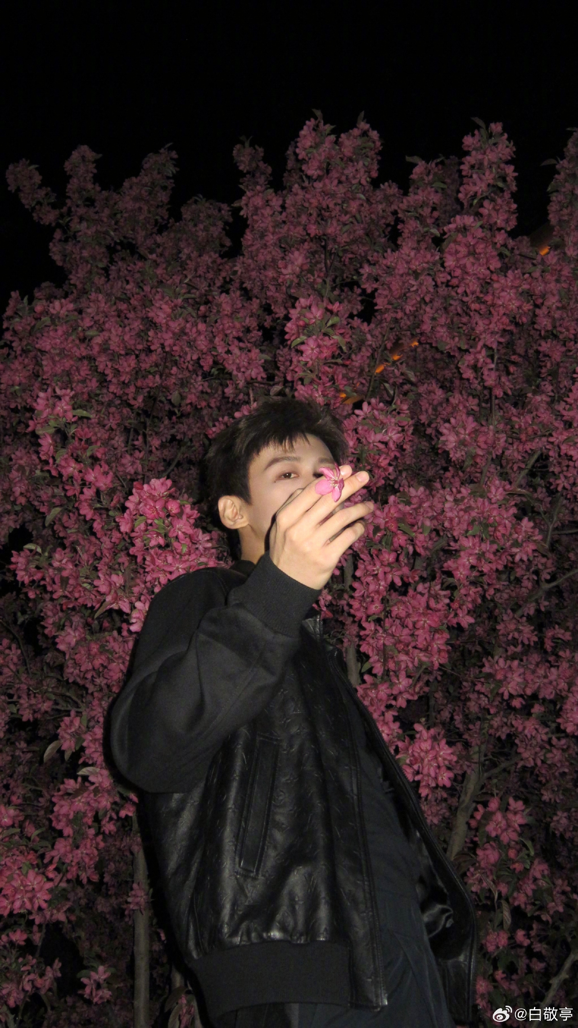 ประวัติ ไป๋จิ้งถิง (Bai Jing Ting)