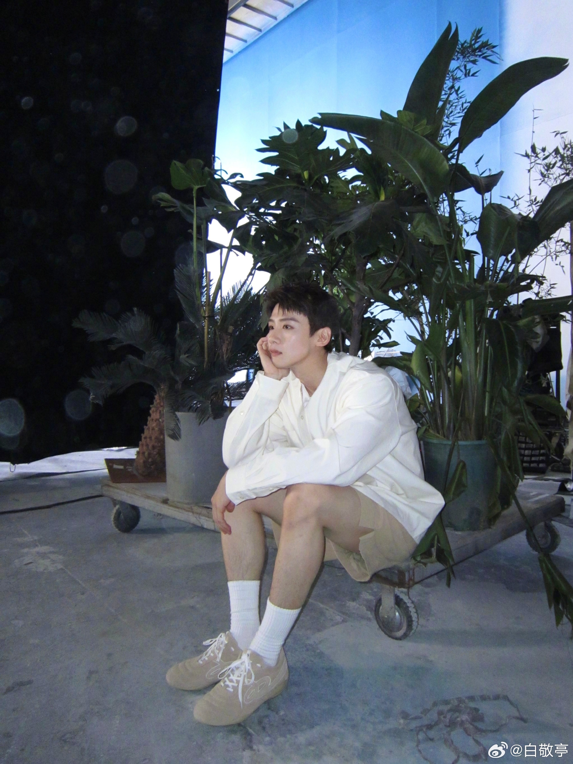 ประวัติ ไป๋จิ้งถิง (Bai Jing Ting)