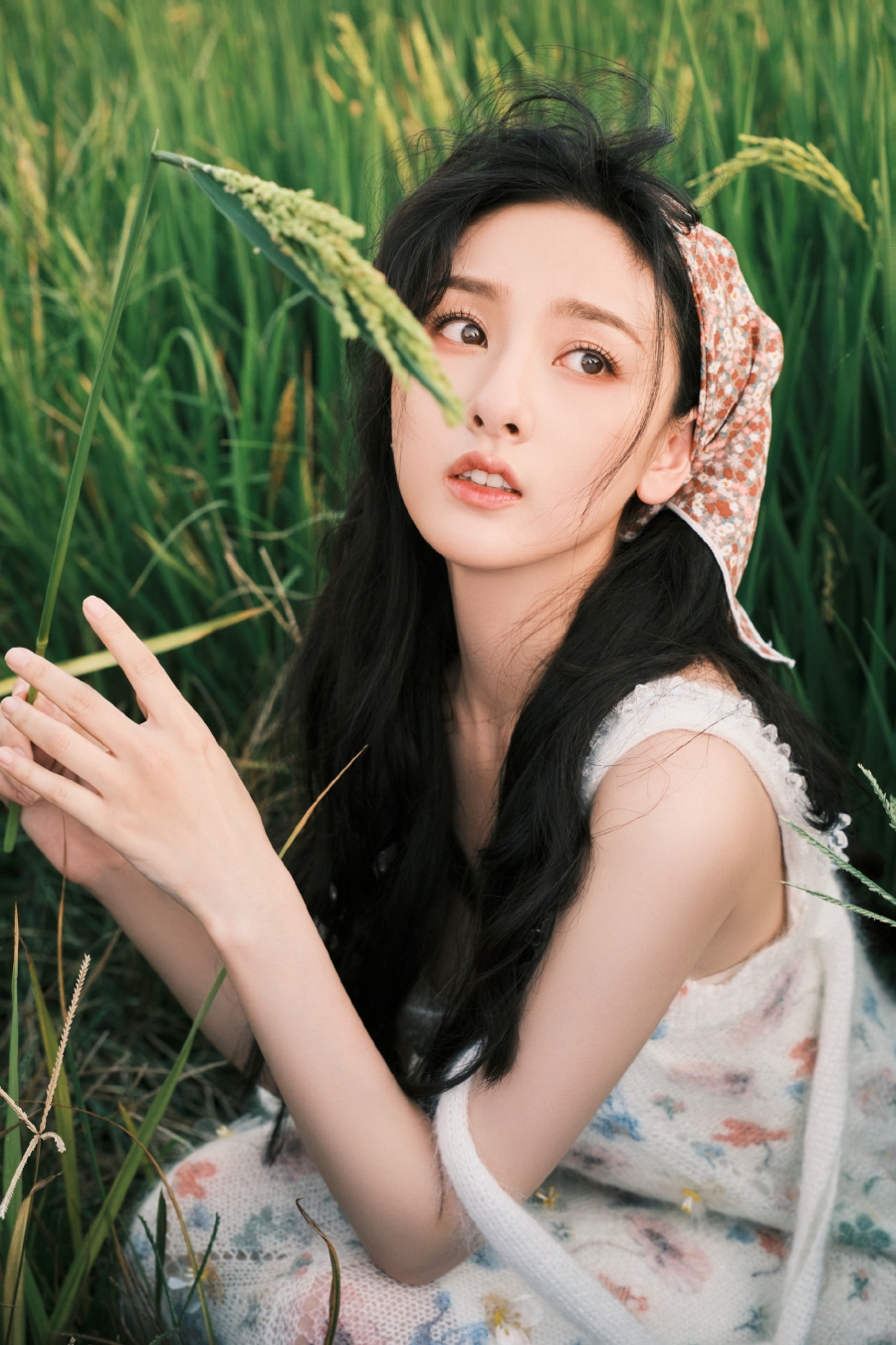 ประวัติ ซ่งจู่เอ๋อร์ song zu er