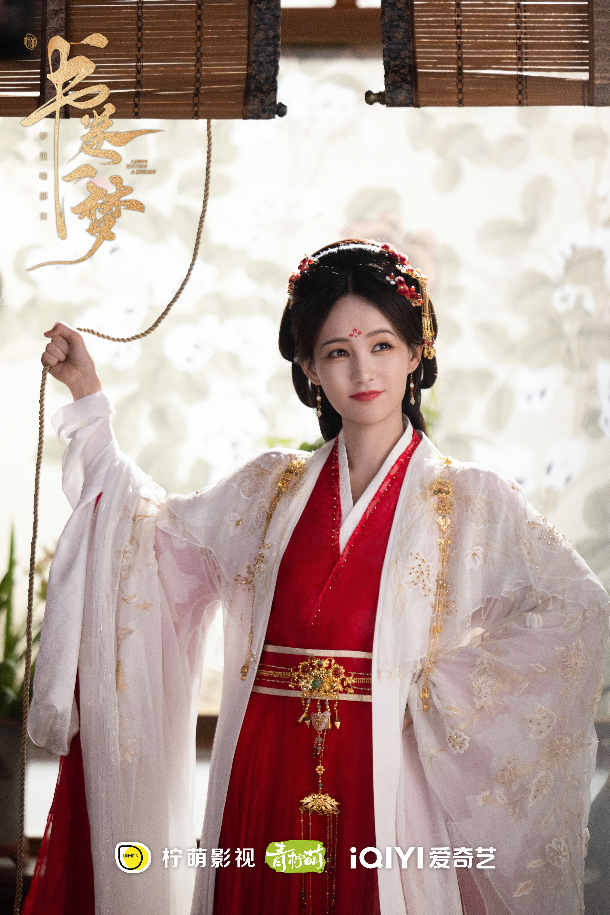 เรื่องย่อ คัมภีร์ร่วมฝัน A Dream Within A Dream