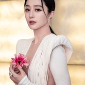 ครอบครัว ฟ่านปิงปิง